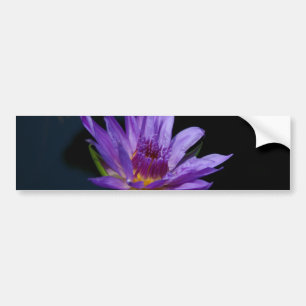 Pegatina Para Coche Morple Waterlily Lotus