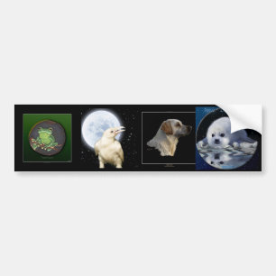 Pegatina Para Coche Multipegatinas I ANIMAL Set