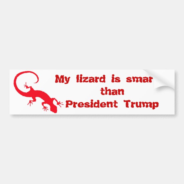 Pegatina Para Coche My lizard is smarter than President Trump (Frente)