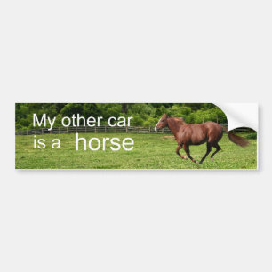 Pegatina Para Coche My other car is a horse