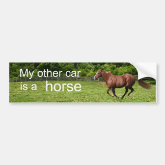 Pegatina Para Coche My other car is a horse