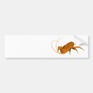 Pegatina Para Coche Naranja Cockroach