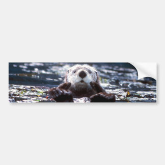 Pegatina Para Coche Natación de la nutria de mar
