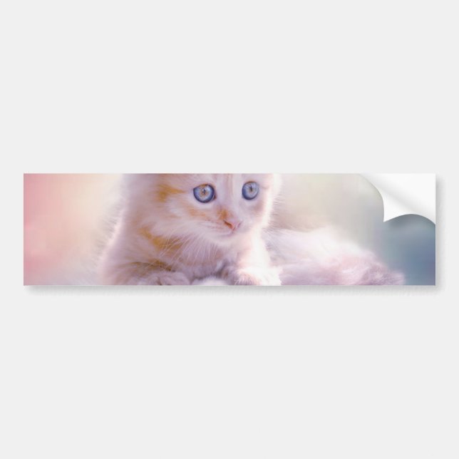 Pegatina Para Coche Navidades Kitten (Frente)