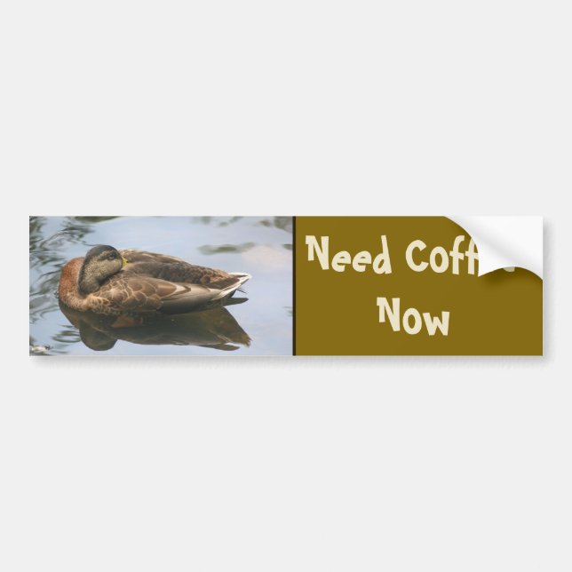 Pegatina Para Coche Need Coffee Funny Duck (Frente)