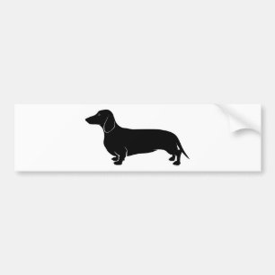 Pegatina Para Coche Negro en el perro de patas muy cortas blanco