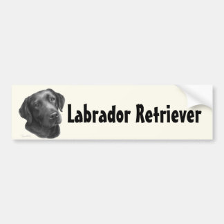 Pegatina Para Coche Negro/labrador retriever del chocolate