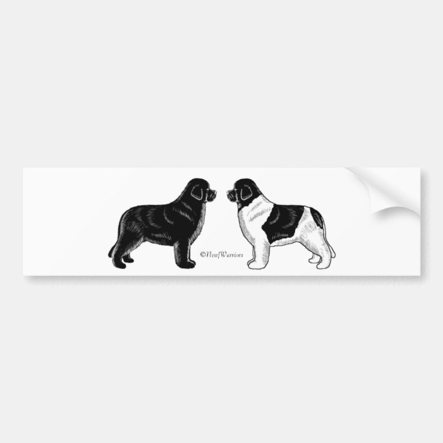 Pegatina Para Coche Negro y perros de Landseer Terranova (Frente)