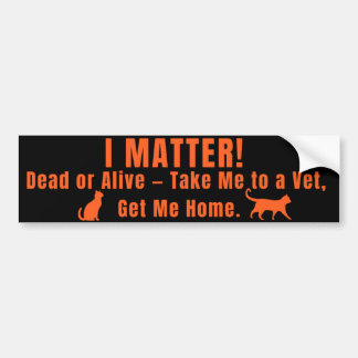 Pegatina Para Coche Neon Orange "I Matter" Bumper Sticker