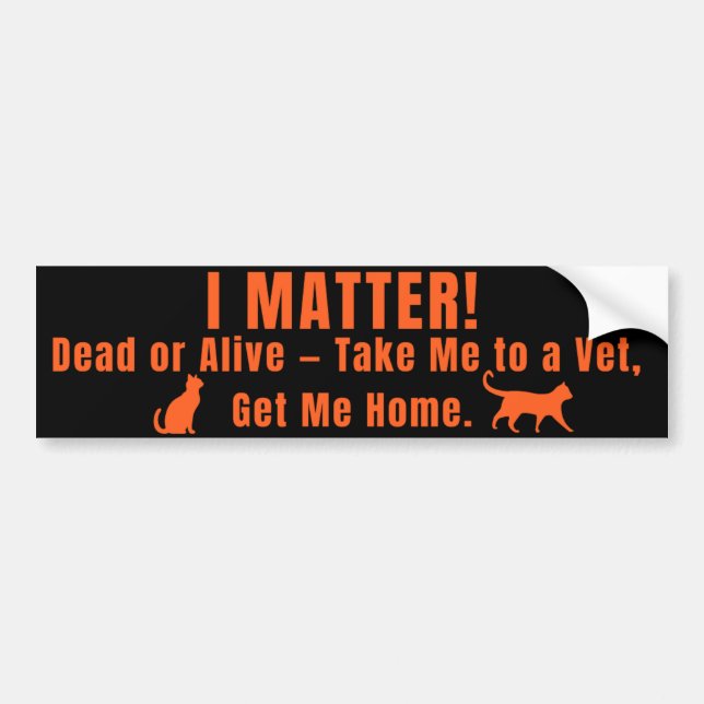 Pegatina Para Coche Neon Orange "I Matter" Bumper Sticker (Frente)