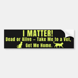 Pegatina Para Coche Neon Yellow "I Matter"