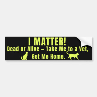 Pegatina Para Coche Neon Yellow "I Matter"