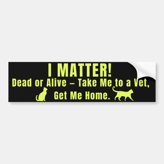 Pegatina Para Coche Neon Yellow "I Matter" (Frente)