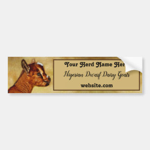Pegatina Para Coche Nigeriana Dwarf Dairy Goat Kid