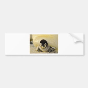 Pegatina Para Coche Niño pingüino