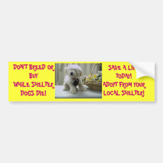 PEGATINA PARA COCHE ¡NO CRÍE NI COMPRE! ADOPTE