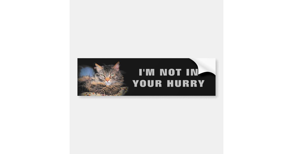 Pegatina Para Coche No Estoy En Su Gato Meme De La Prisa Zazzle Es