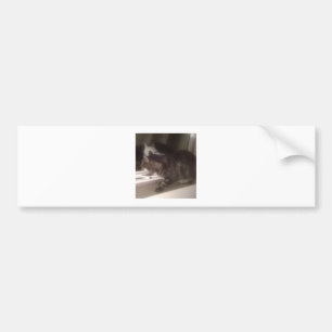Pegatina Para Coche No hablar contigo Dave Bumper Sticker
