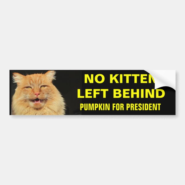 Pegatina Para Coche No Kitten Left Behind 2 (Frente)