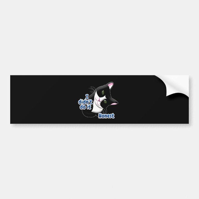 Pegatina Para Coche No lo hice Cat (Frente)