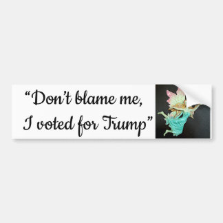 Pegatina Para Coche "No me culpes, voté por Trump" 8