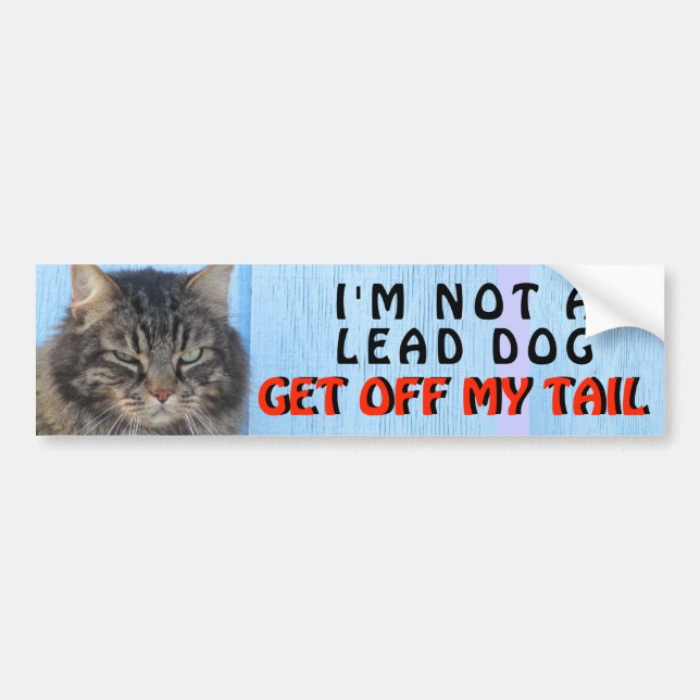 Pegatina Para Coche No soy su perro de la ventaja, meme del gato (Frente)