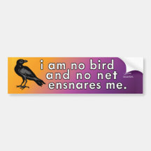 No soy un pájaro y no me atrapa la red - Jane Aust