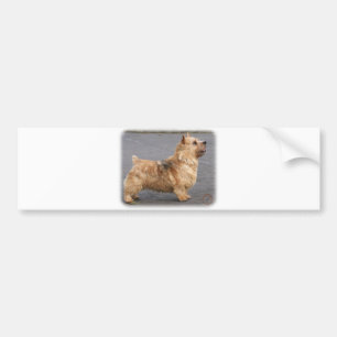 Pegatina Para Coche Norwich Terrier