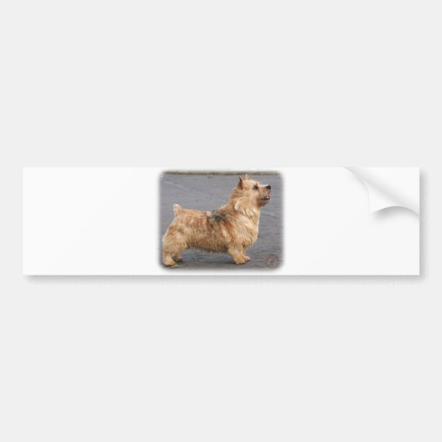 Pegatina Para Coche Norwich Terrier (Frente)