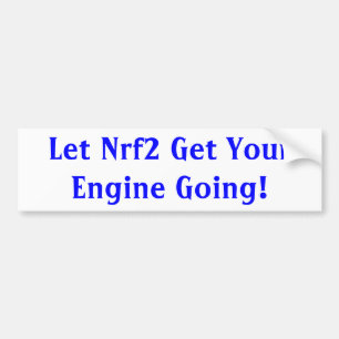 Pegatina Para Coche Nrf2