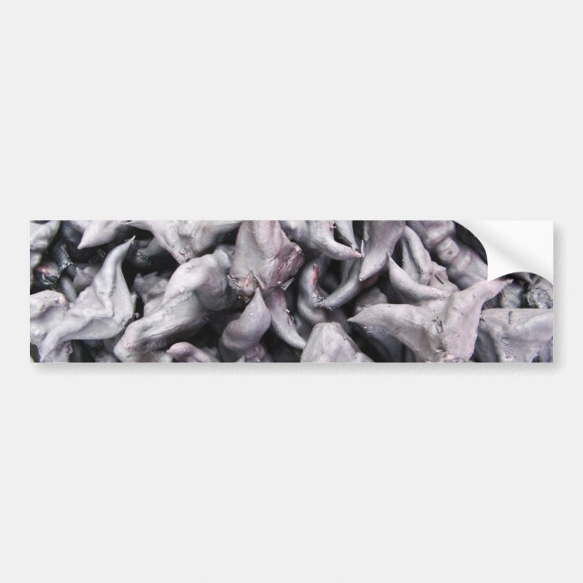 Pegatina Para Coche Nueces de búfalo - Caltropo de agua (Frente)