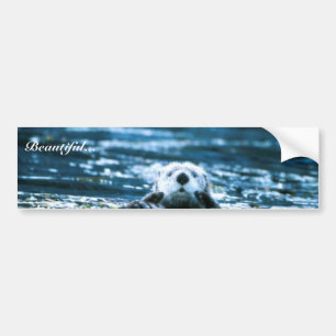 Pegatina Para Coche Nutria de mar