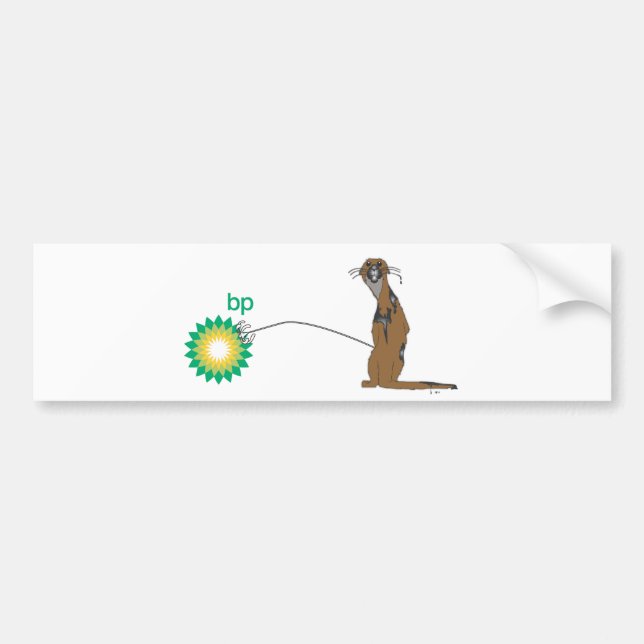 Pegatina Para Coche Nutria enojada (Frente)