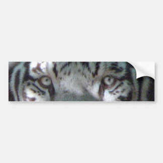 Pegatina Para Coche Ojos blancos del tigre