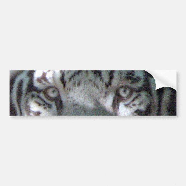 Pegatina Para Coche Ojos blancos del tigre (Frente)