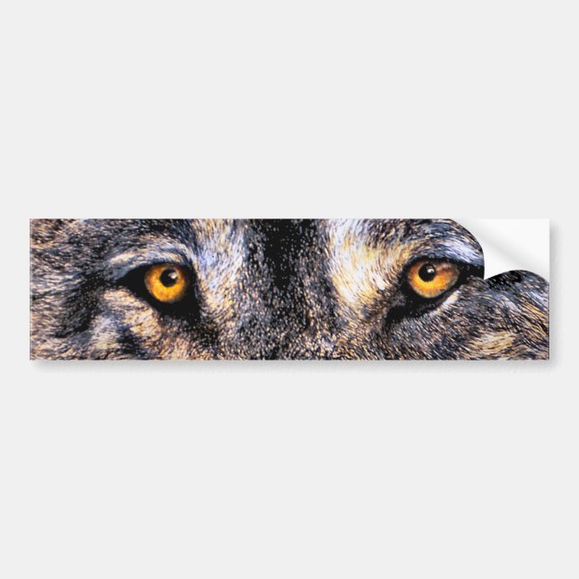 Pegatina Para Coche Ojos del lobo (Frente)