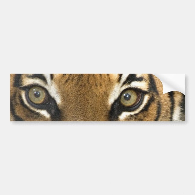 Pegatina Para Coche Ojos del tigre (Frente)