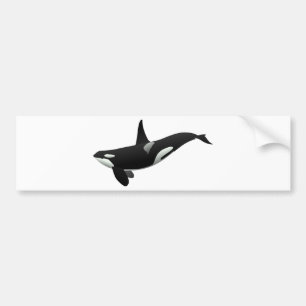 Pegatina Para Coche Orca