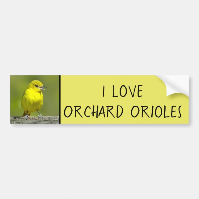 Pegatina Para Coche Orchard Oriole - Foto original (Frente)