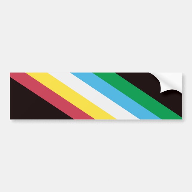 Pegatina Para Coche Orgullo de discapacitado (Frente)