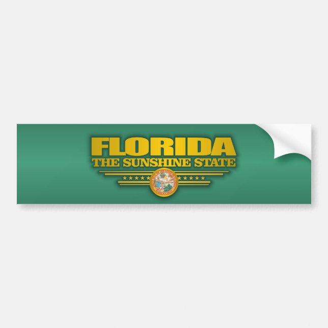 Pegatina Para Coche Orgullo de Florida (Frente)