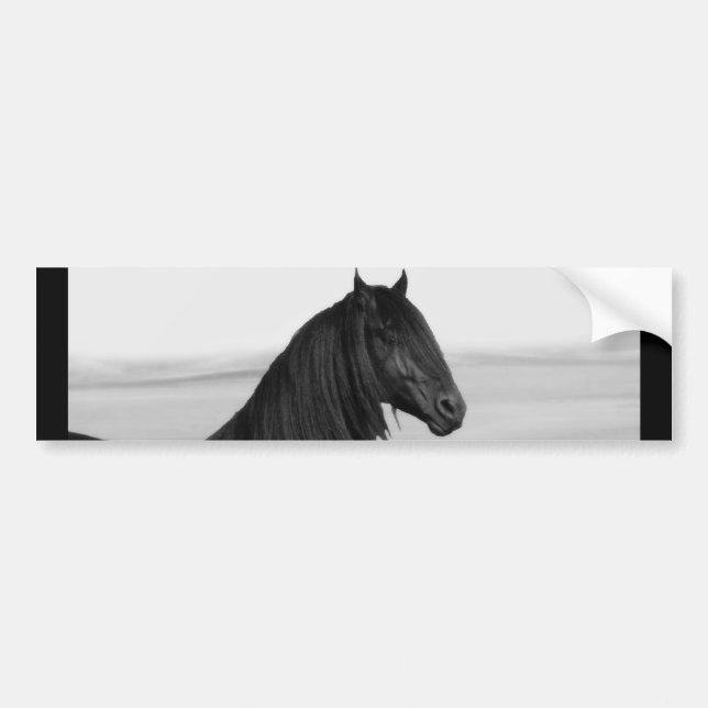 Pegatina Para Coche Orgulloso caballo de semental negro frisón (Frente)