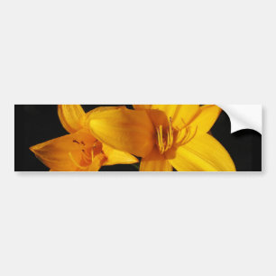 Pegatina Para Coche Orquídea amarilla