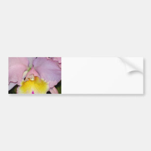 Pegatina Para Coche Orquídea de primavera