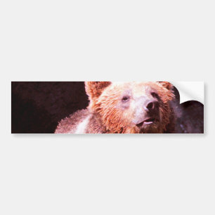 Pegatina Para Coche oso grizzly