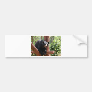 Pegatina Para Coche Oso negro