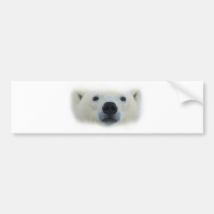 Pegatina Para Coche Oso polar