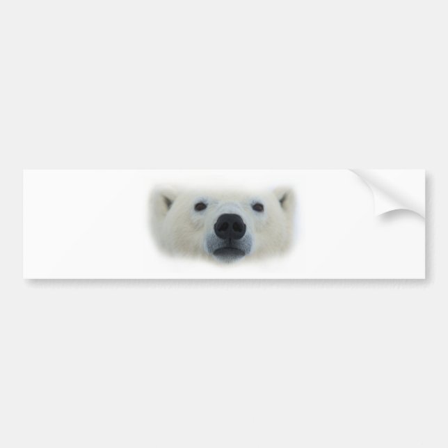Pegatina Para Coche Oso polar (Frente)