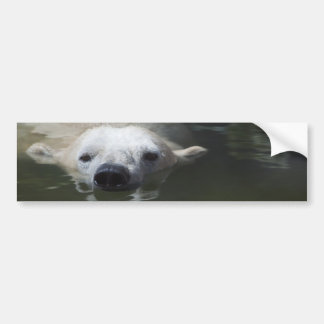 Pegatina Para Coche Oso Polar