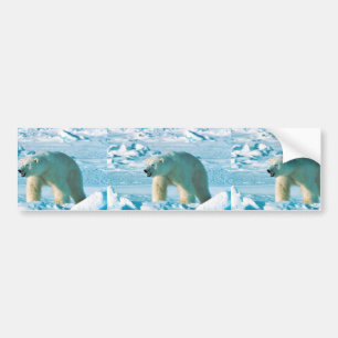 Pegatina Para Coche Oso polar